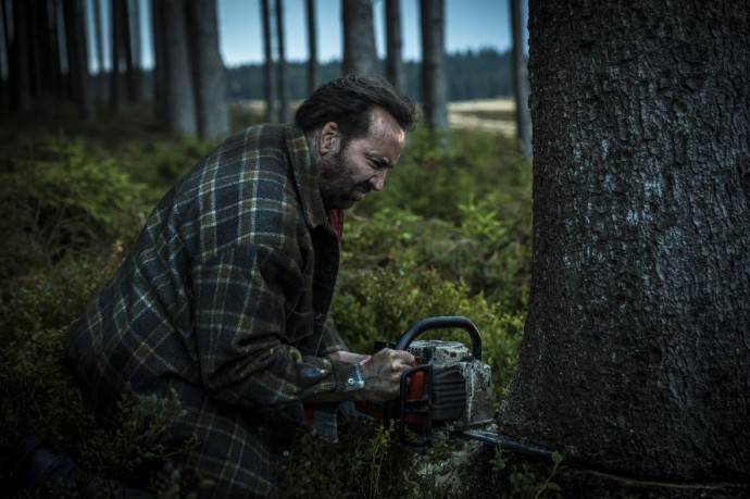 Anticipazioni della 36° Edizione del Torino Film Festival, Torino: tre titoli in anteprima mondiale e tre in anteprima nazionale.