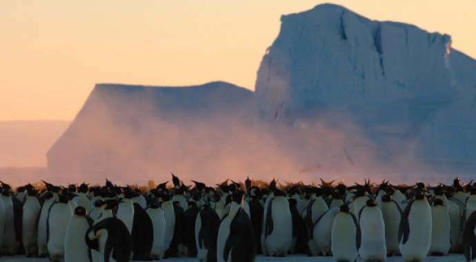 I BBC EARTH CONCERTS all' Auditorium di Milano e video di 'The Frozen Planet in Concert': un'esperienza totale di SUONO E VISIONE